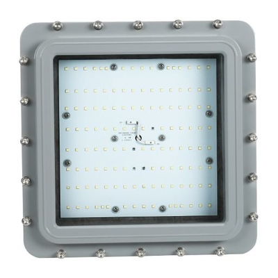 ATEX-zertifizierte 20~220W LED-Explosionsgeschützte High Bay-Leuchten-D-SERIE -1