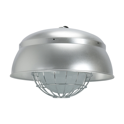 IP66 LED Food Lights für die Mehl- und Feinstaubproduktion