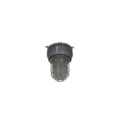 ATEX 40-100W Explosionsgeschützte LED-Hallenstrahler IP66