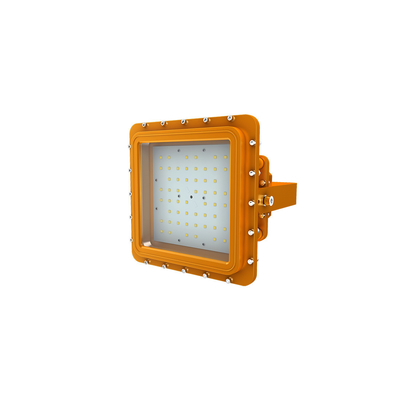 LED-Explosionsschutz-Industrieleuchte IP66 Wasserdichtes Ik10-Aluminiumgehäuse Edelstahl-Montagehalterung D-SERIE