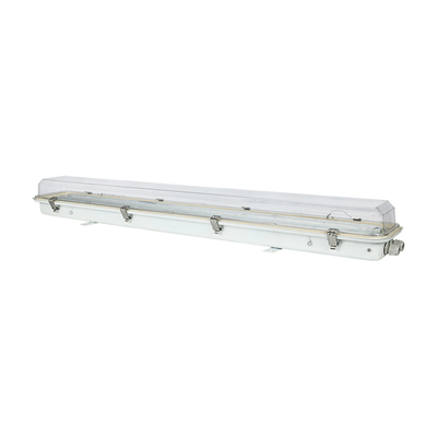 Explosionssichere Lampe IP66