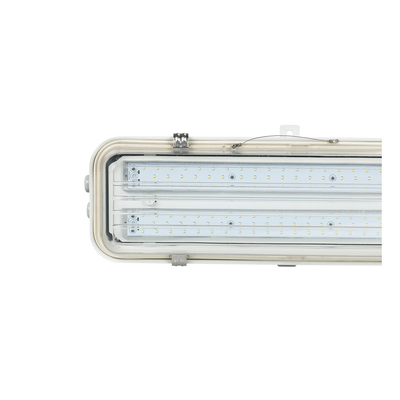 Explosionssichere Lampe IP66